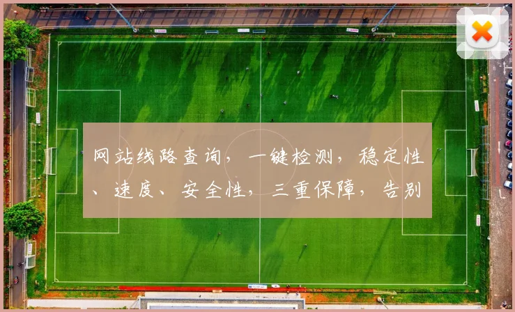 网站线路查询，一键检测，稳定性、速度、安全性，三重保障，告别卡顿