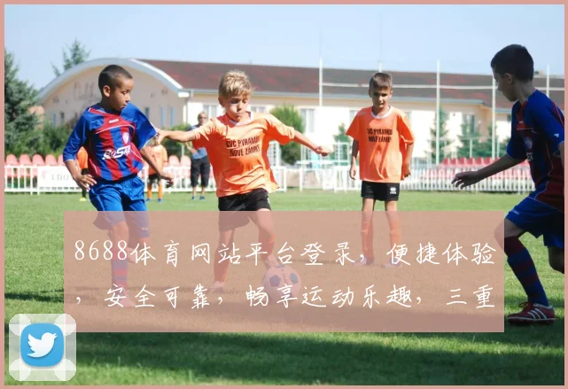 8688体育网站平台登录，便捷体验，安全可靠，畅享运动乐趣，三重保障，必看攻略