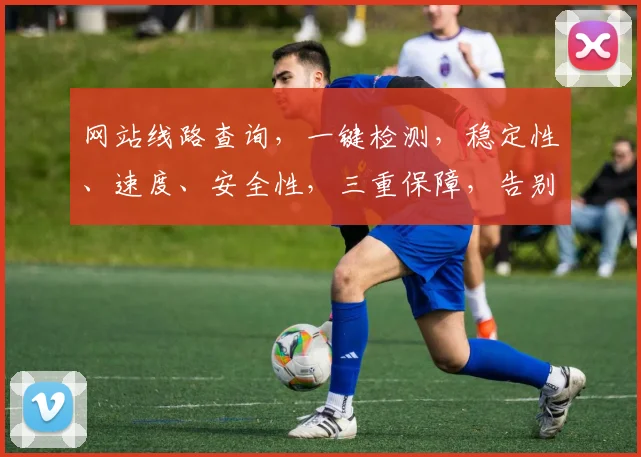网站线路查询，一键检测，稳定性、速度、安全性，三重保障，告别卡顿